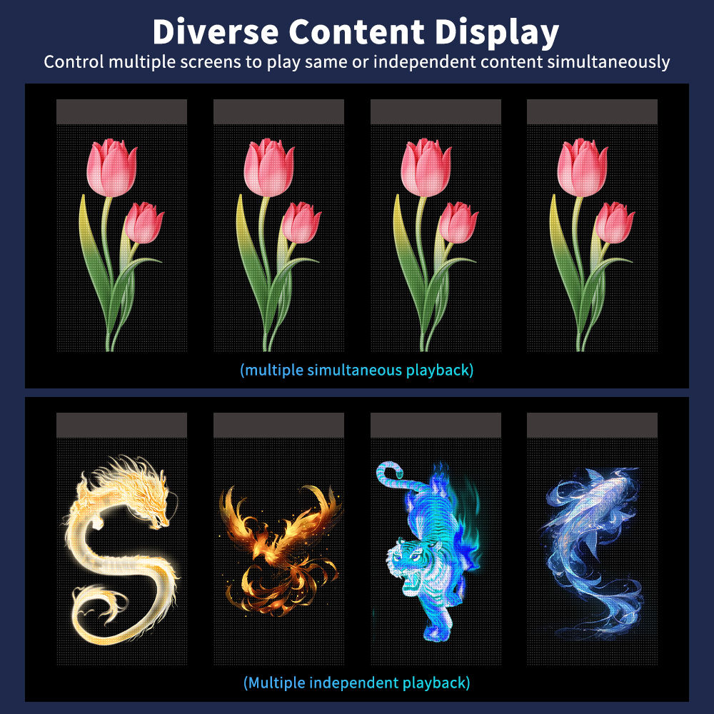 Diverse Content Display