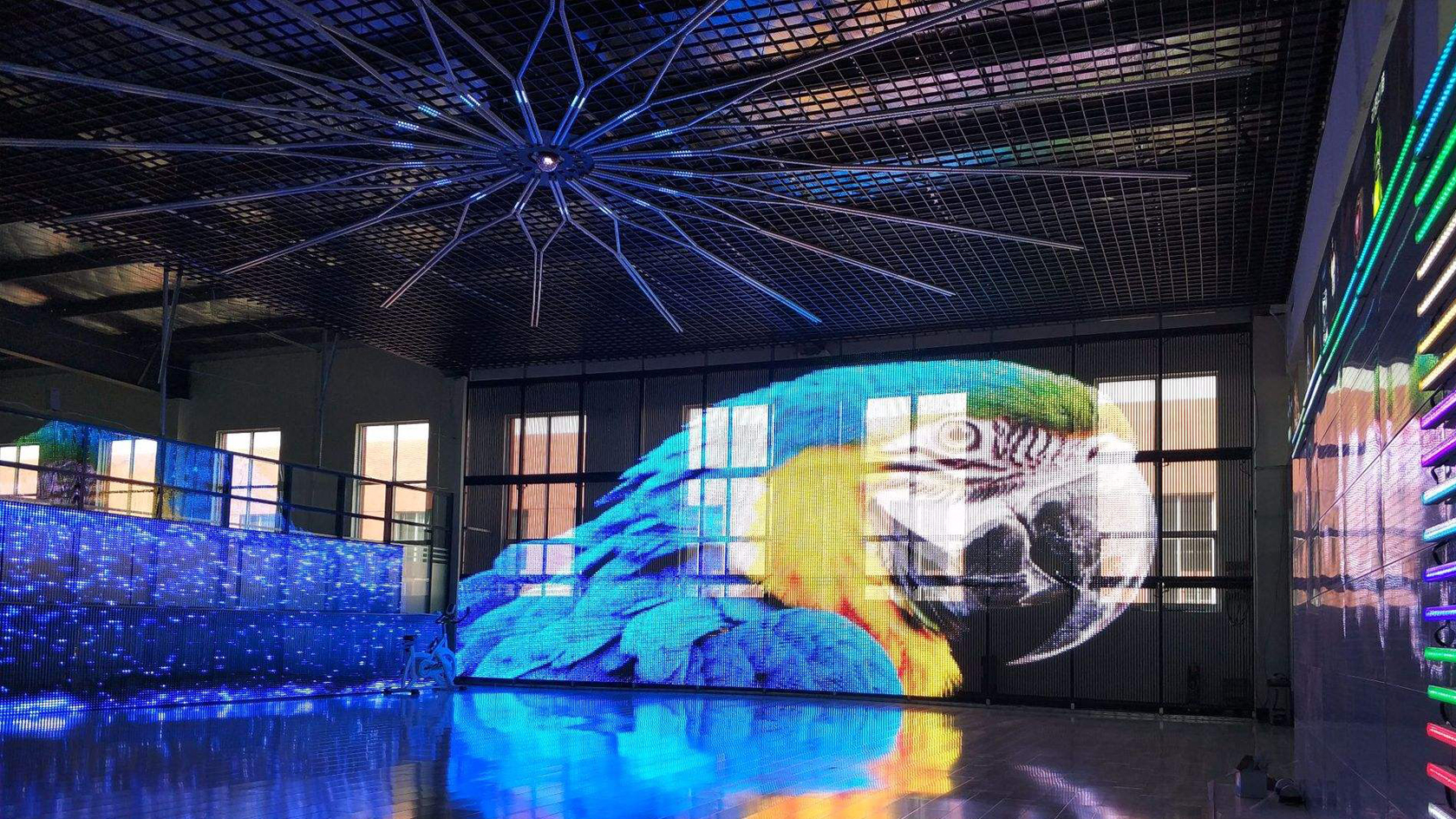 LED Transparent  Screen