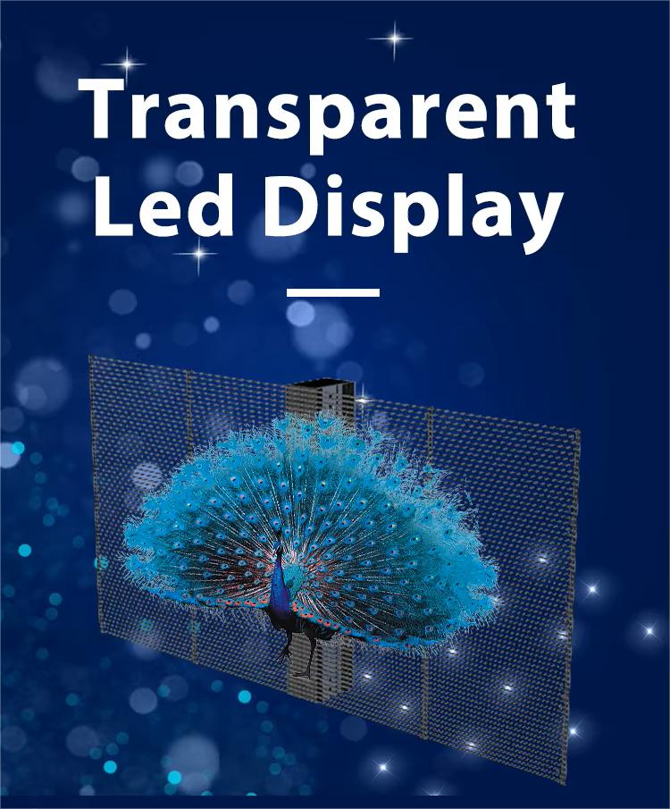 Transparent LED Display