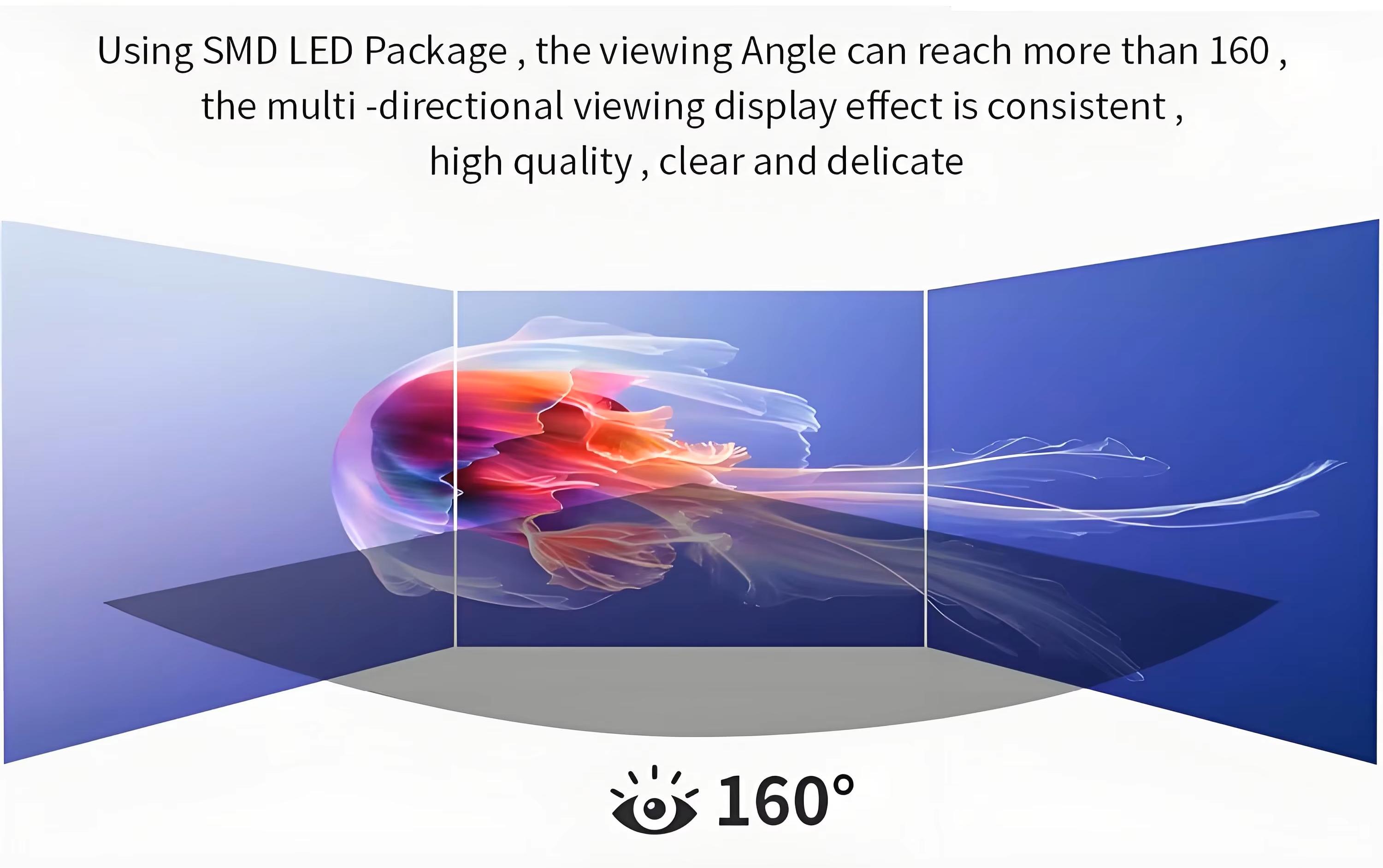 wide viewing angle 160°